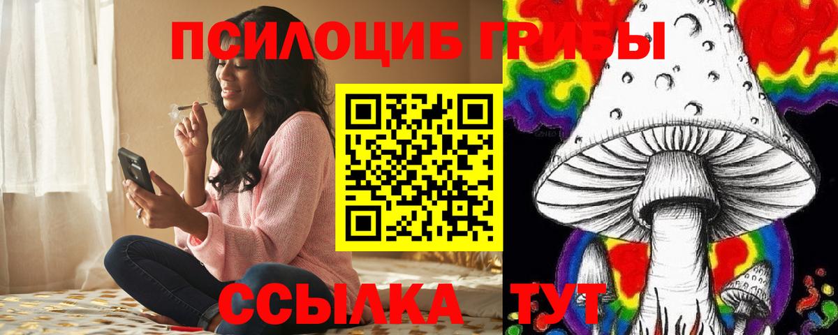 дарнет шоп  Галлюциногенные грибы прущие грибы  Вход с VPN  Иваново  Псилоцибиновые грибы GOLDEN TEACHER 
